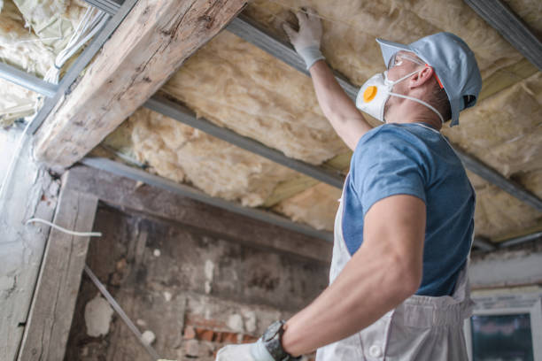 Best Insulation Removal Services  in Oriska, NY